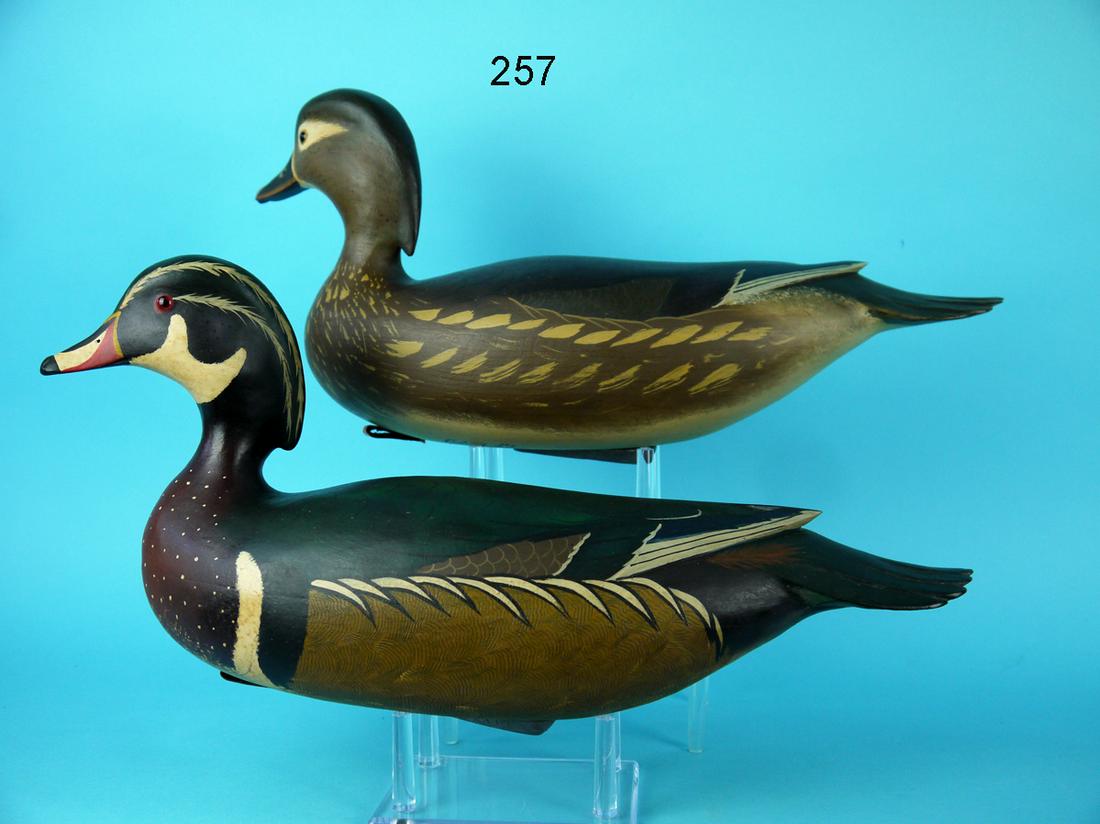 WOOD DUCK PAIR, B. WHITE (1 of 4)