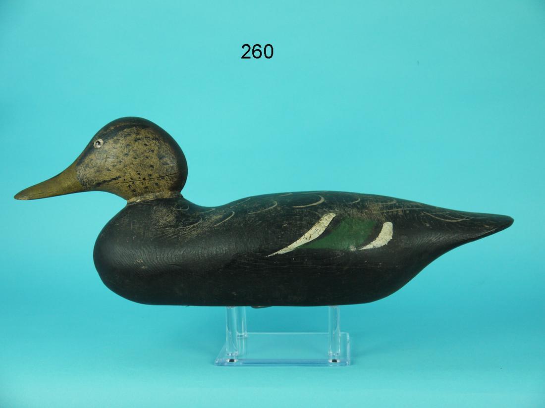 BLACK DUCK, MASON DECOY FACTORY (1 of 4)