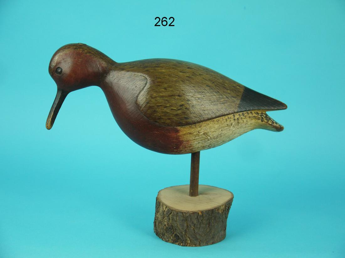 RED KNOT, I. MCNAIR (1 of 4)