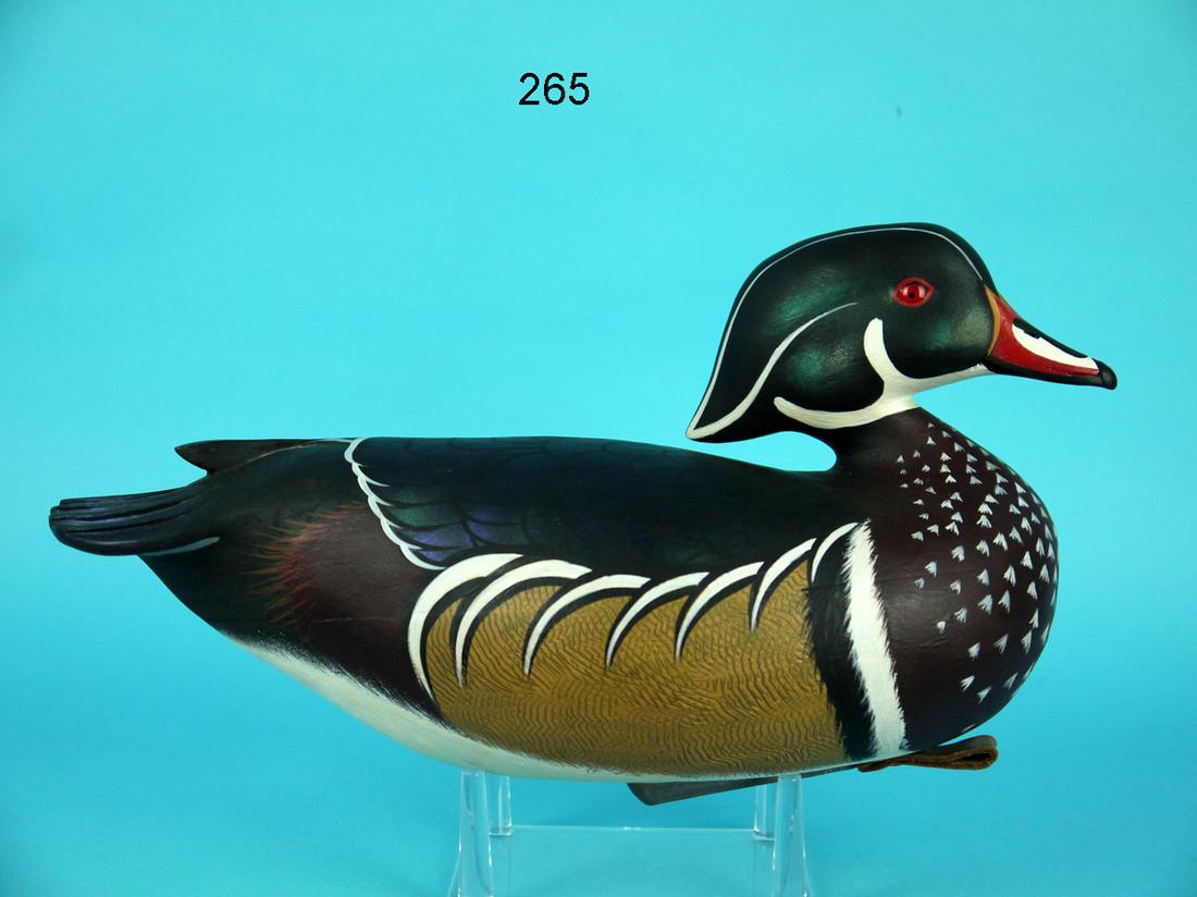 WOOD DUCK DRAKE, J. WOOD (1 of 4)