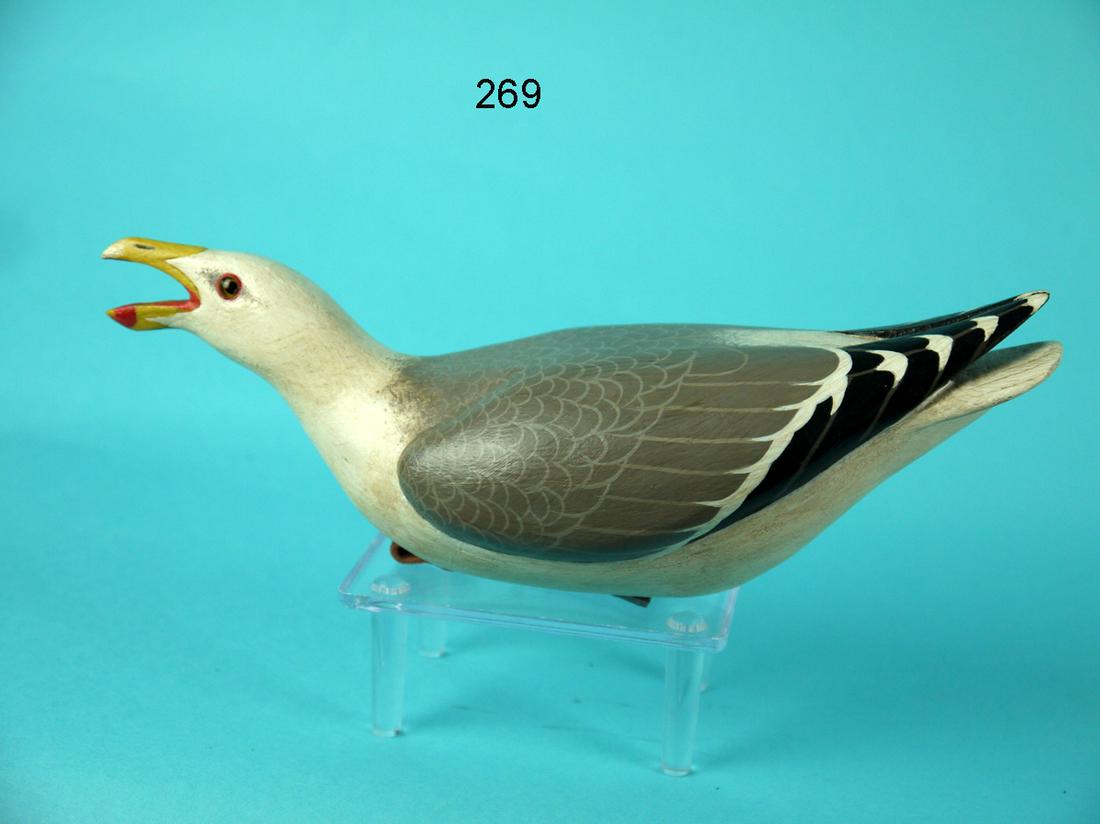MINIATURE GULL, J. WOOD (1 of 4)