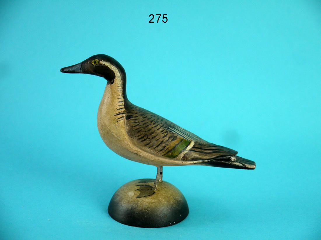 MINIATURE PINTAIL DRAKE, K. KIRBY (1 of 4)