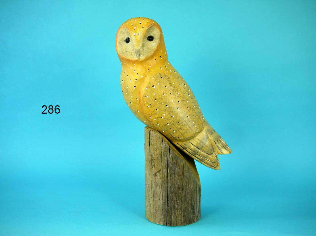 BARN OWL, K. KIRBY (1 of 3)
