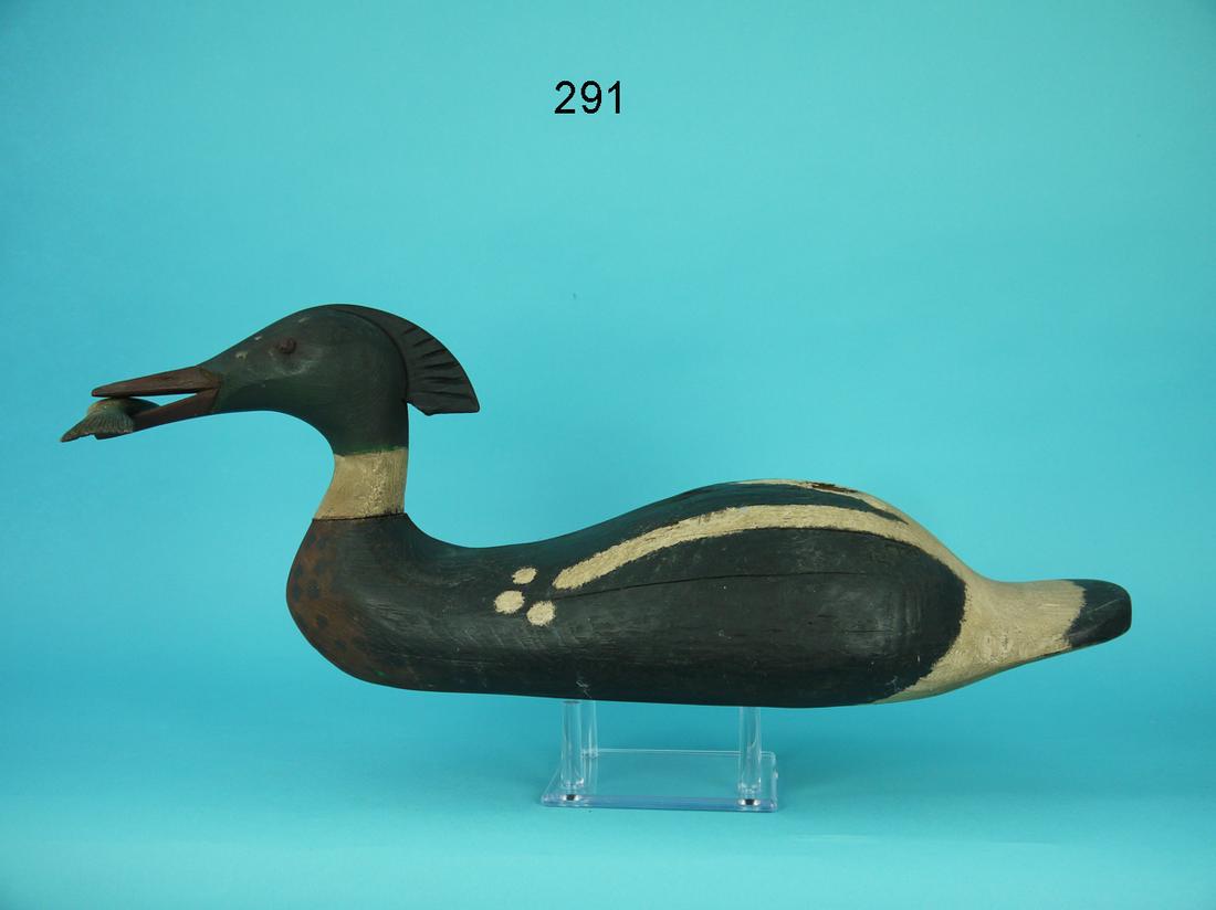 RED-BREASTED MERGANSER DRAKE, K. KIRBY (1 of 4)