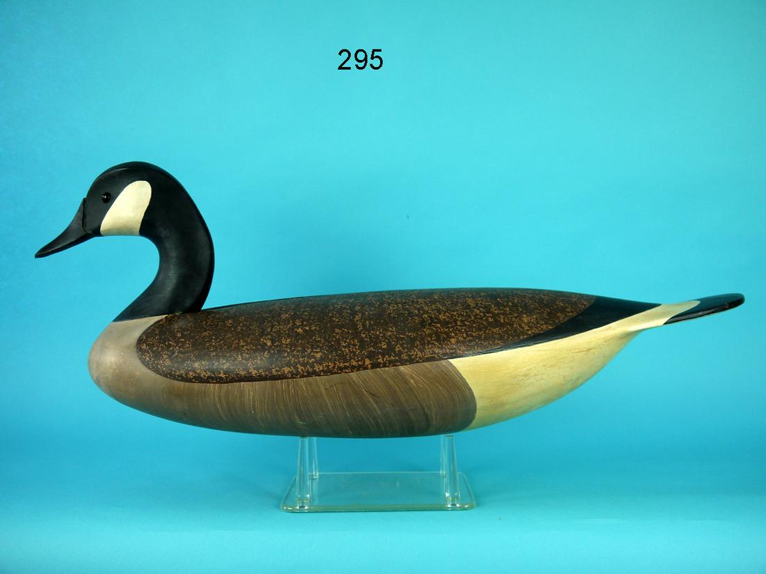 CANADA GOOSE, R. DALEY (1 of 4)