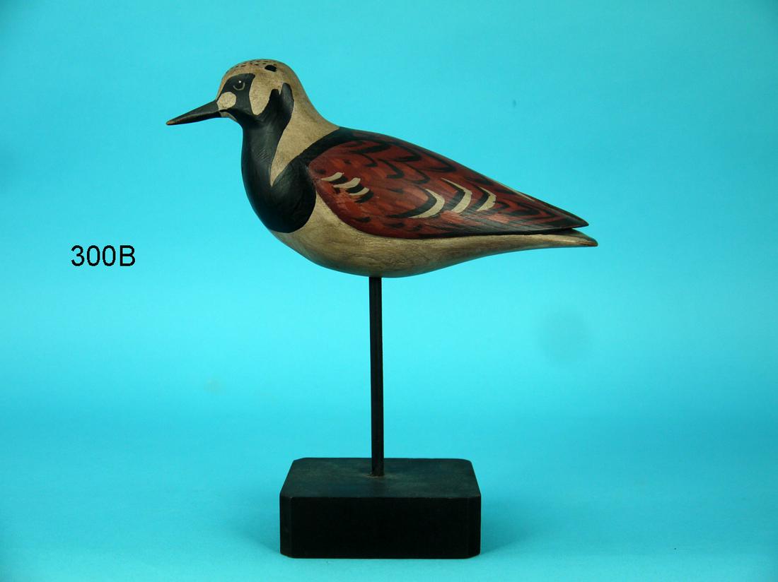 RUDDY TURNSTONE, D. RHODES (1 of 4)