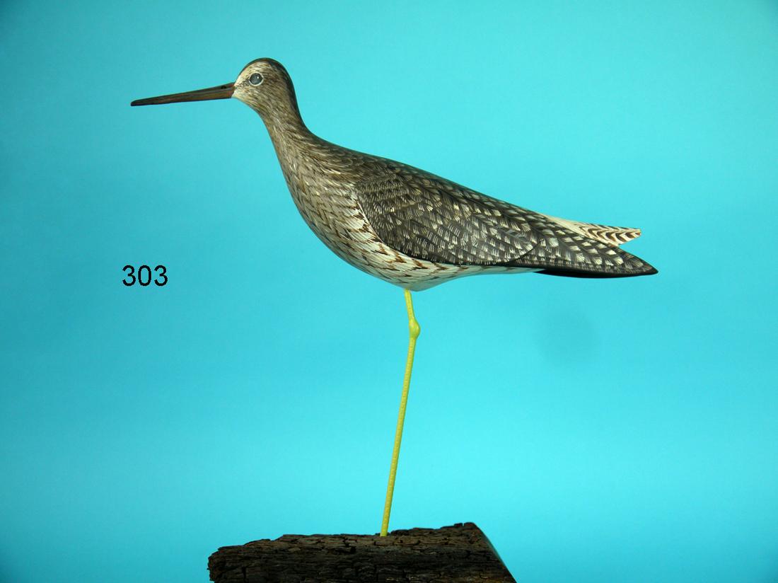YELLOWLEGS, D. RHODES (1 of 3)
