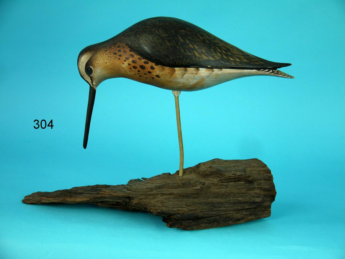 DOWITCHER, D. RHODES (1 of 2)