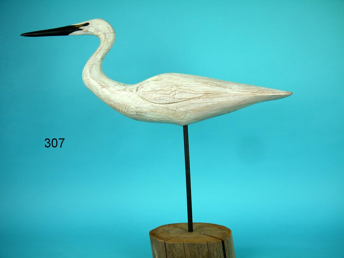 SNOWY EGRET, A. HILLMAN (1 of 2)