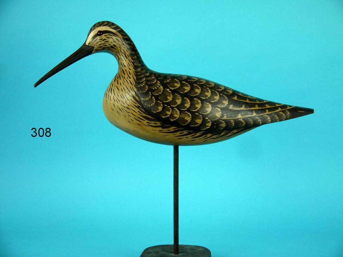 DOWITCHER, L. REINERI (1 of 3)