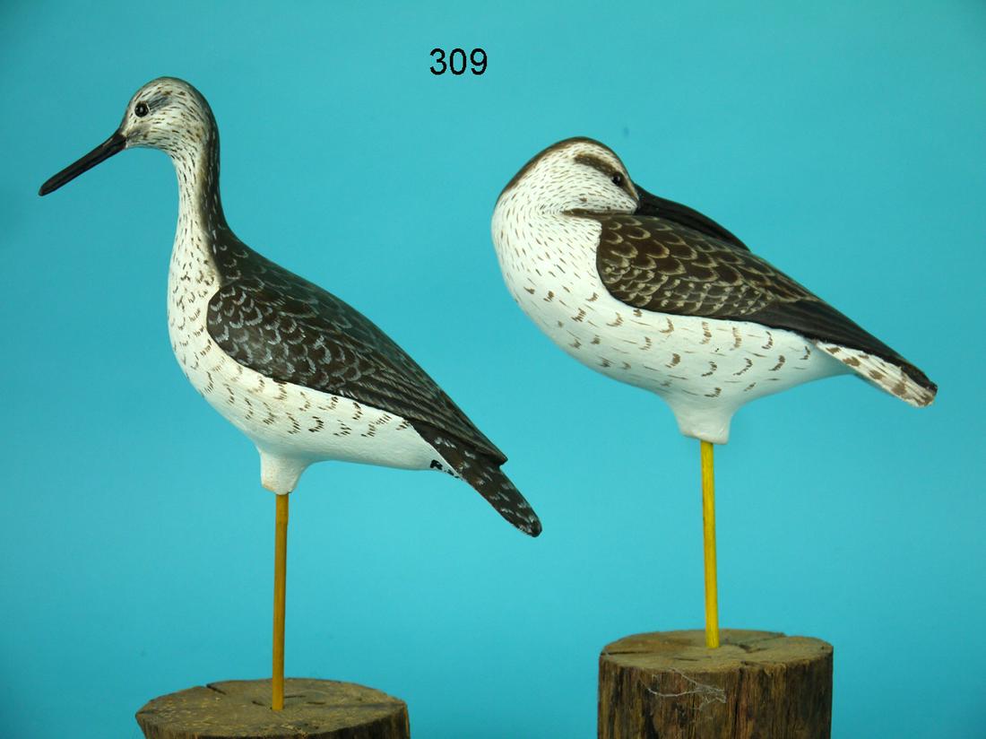 TWO YELLOWLEGS, R. SABATINI (1 of 3)