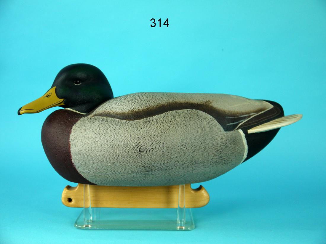 MALLARD DRAKE, J. LAWRENCE (1 of 4)