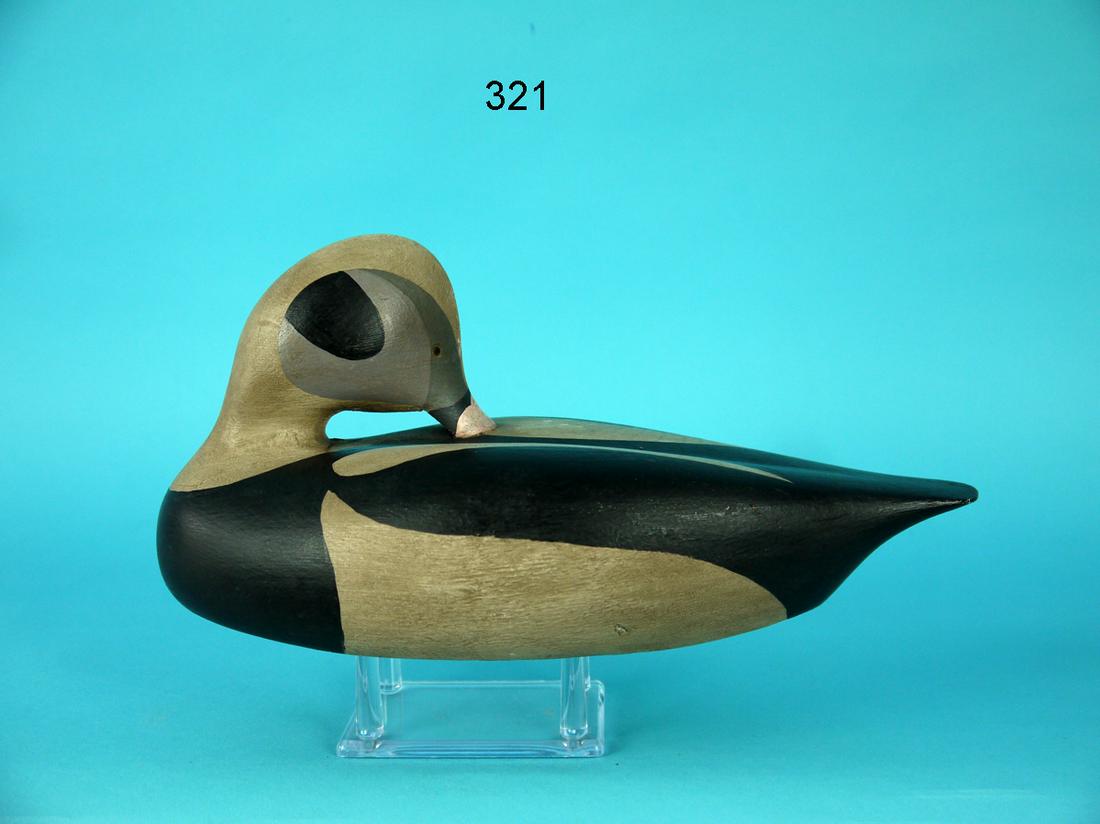 OLD SQUAW DRAKE, F. DOBBINS: OLD SQUAW DRAKE by Frank Dobbins, Jonesport, ME. Very good antiqued paint and structural condition. Preening model with bill partially carved into wings. Overall length is approximately 10 1/2 inches.