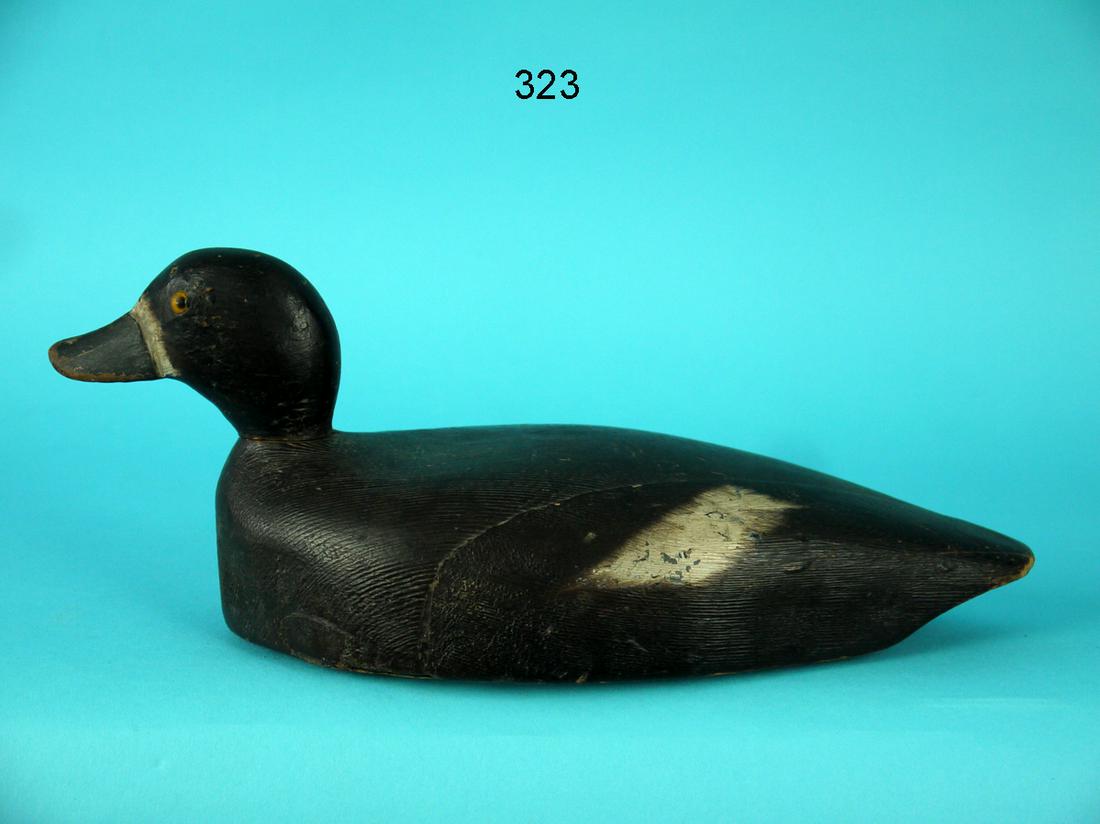 BLUEBILL HEN, NEW YORK STATE (1 of 4)