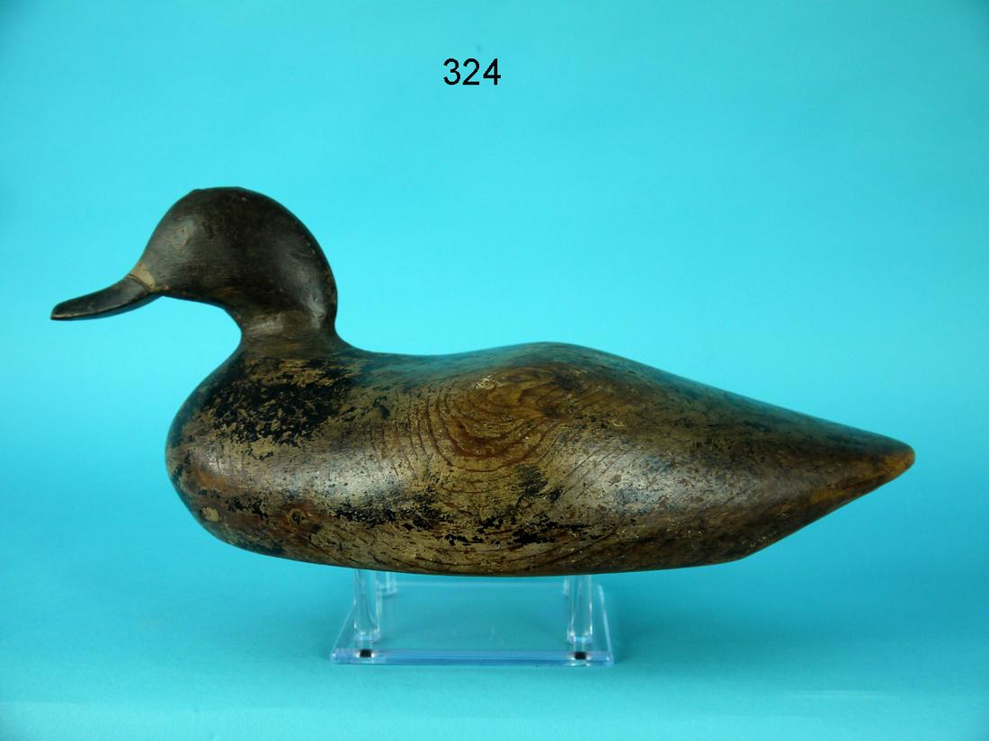 BLUEBILL HEN, NEW YORK STATE (1 of 4)