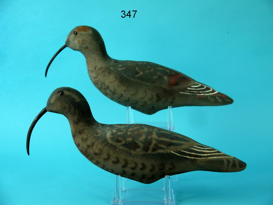TWO CURLEWS, HERTER'S (1 of 4)