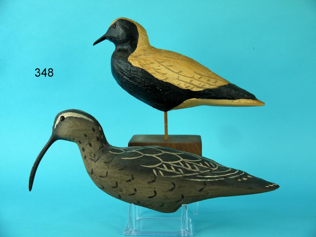 BLACK-BREASTED PLOVER, CURLEW, HERTER'S (1 of 4)