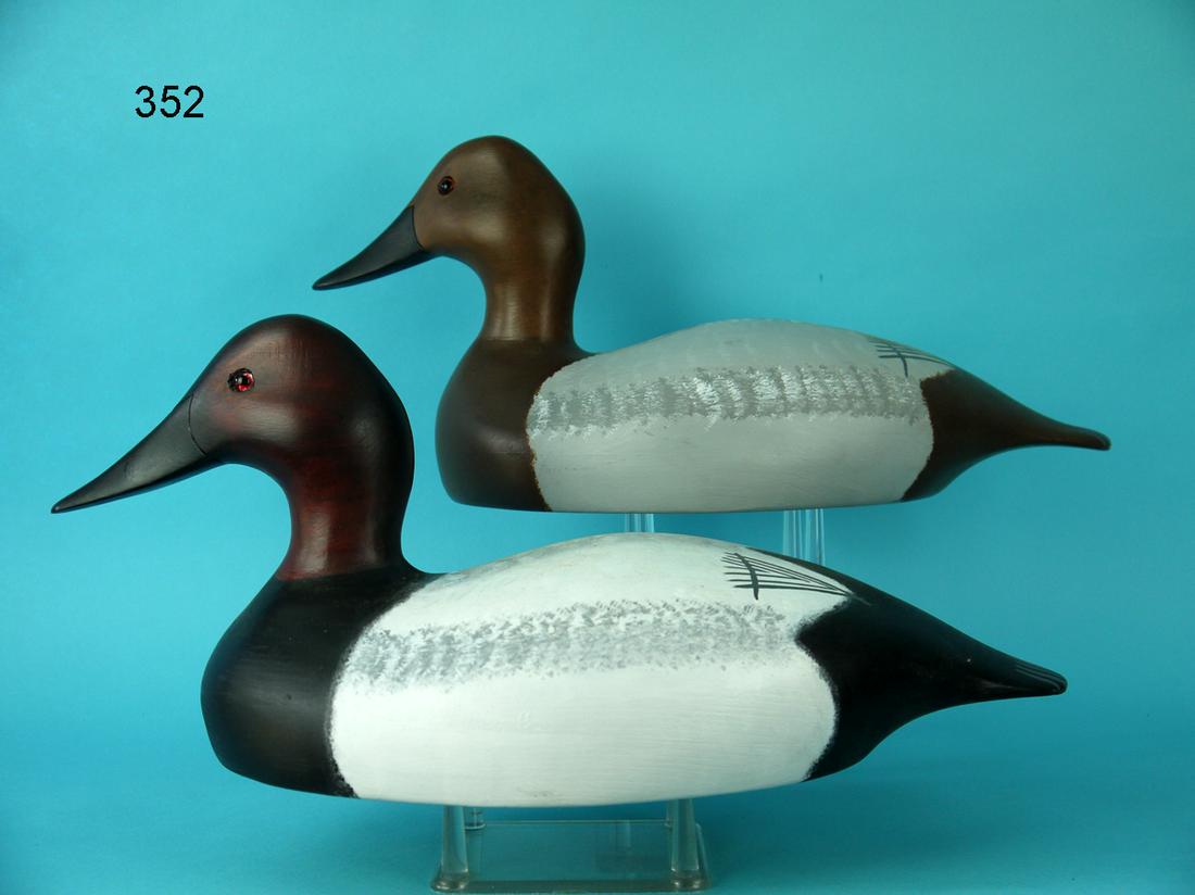 CANVASBACK PAIR, WILDFOWLER, JENSEN BEACH (1 of 4)