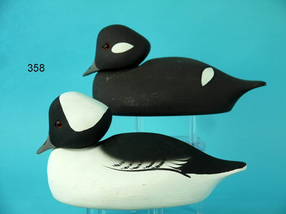 BUFFLEHEAD PAIR, F.C. BROWN, JR. (1 of 4)