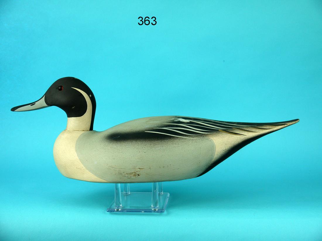 PINTAIL DRAKE, BARNEGAT BAY DECOY CO.: PINTAIL DRAKE by the Barnegat Bay Decoy Co., Pt. Pleasant, NJ. Very good original paint and structural condition. Paint smudge to back and top of head. Painted feather detail to back. Retains glass ey