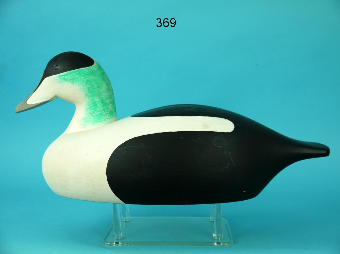 EIDER DRAKE (1 of 4)