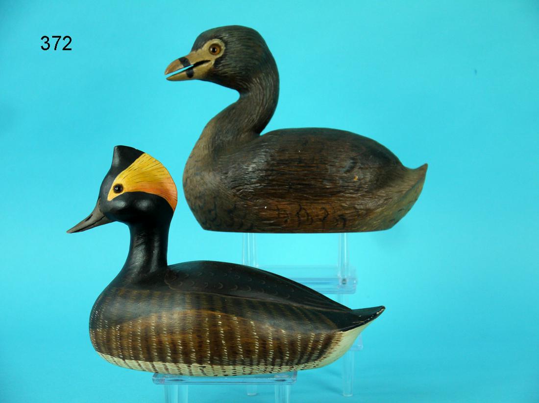 TWO GREBE (1 of 4)