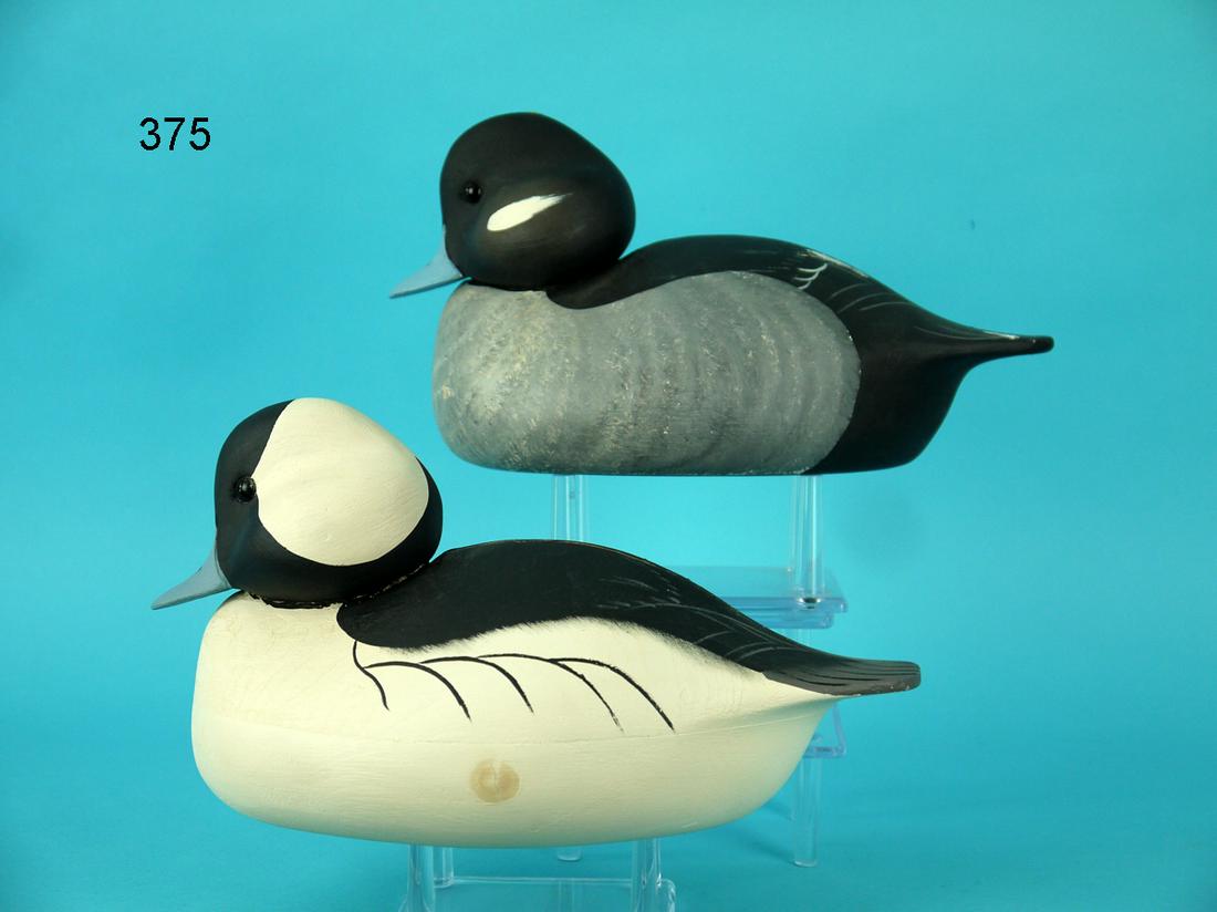 BUFFLEHEAD PAIR, C. ALLSOPP (1 of 4)