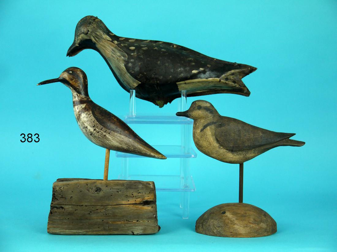 THREE SHOREBIRDS (1 of 2)