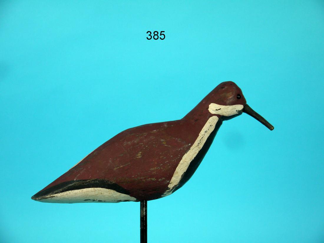 RUDDY TURNSTONE, SOUTH JERSEY (1 of 3)