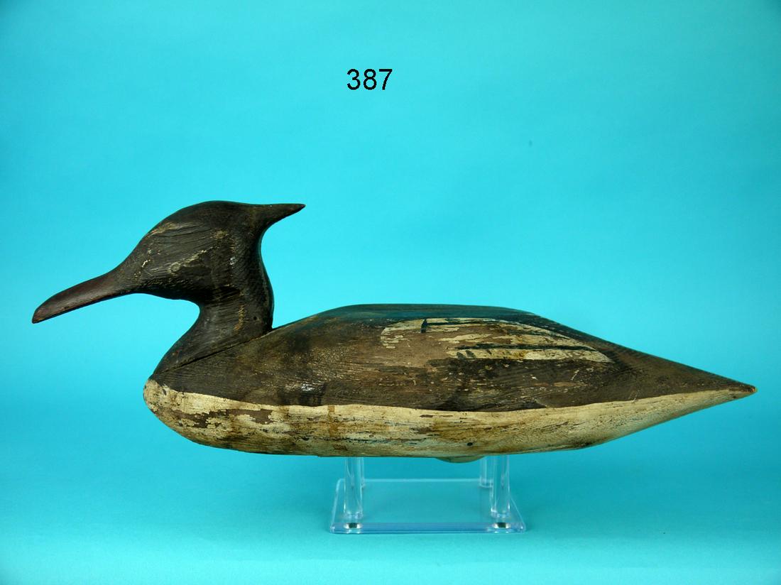 MERGANSER DRAKE, NEW ENGLAND (1 of 4)