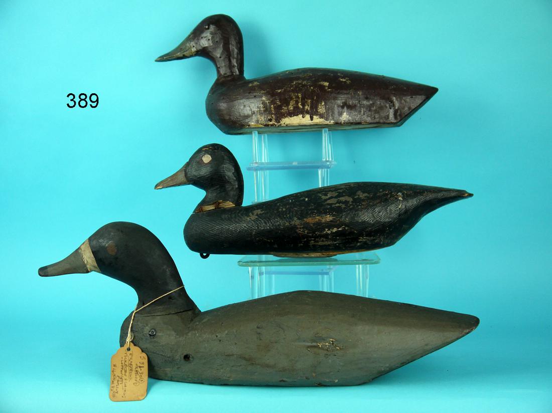 TWO BROADBILLS, BLACK DUCK: GROUP OF THREE DECOYS, consisting of TWO BROADBILLS and a BLACK DUCK. All repainted and in fair condition. 75-125