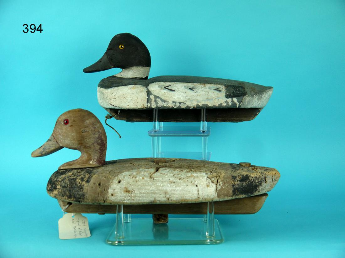 REDHEAD DRAKE/GOLDENEYE DRAKE (1 of 4)