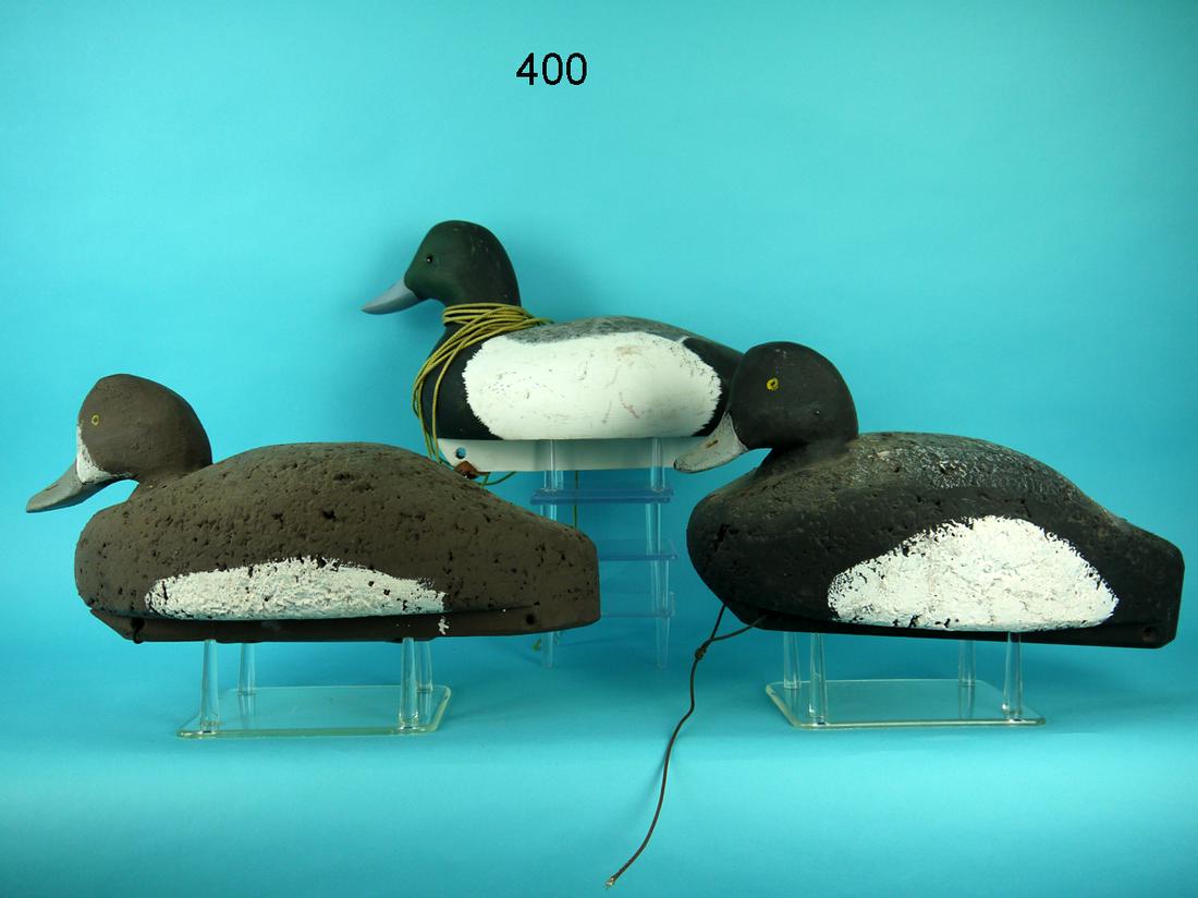 THREE BLUEBILLS (1 of 1)