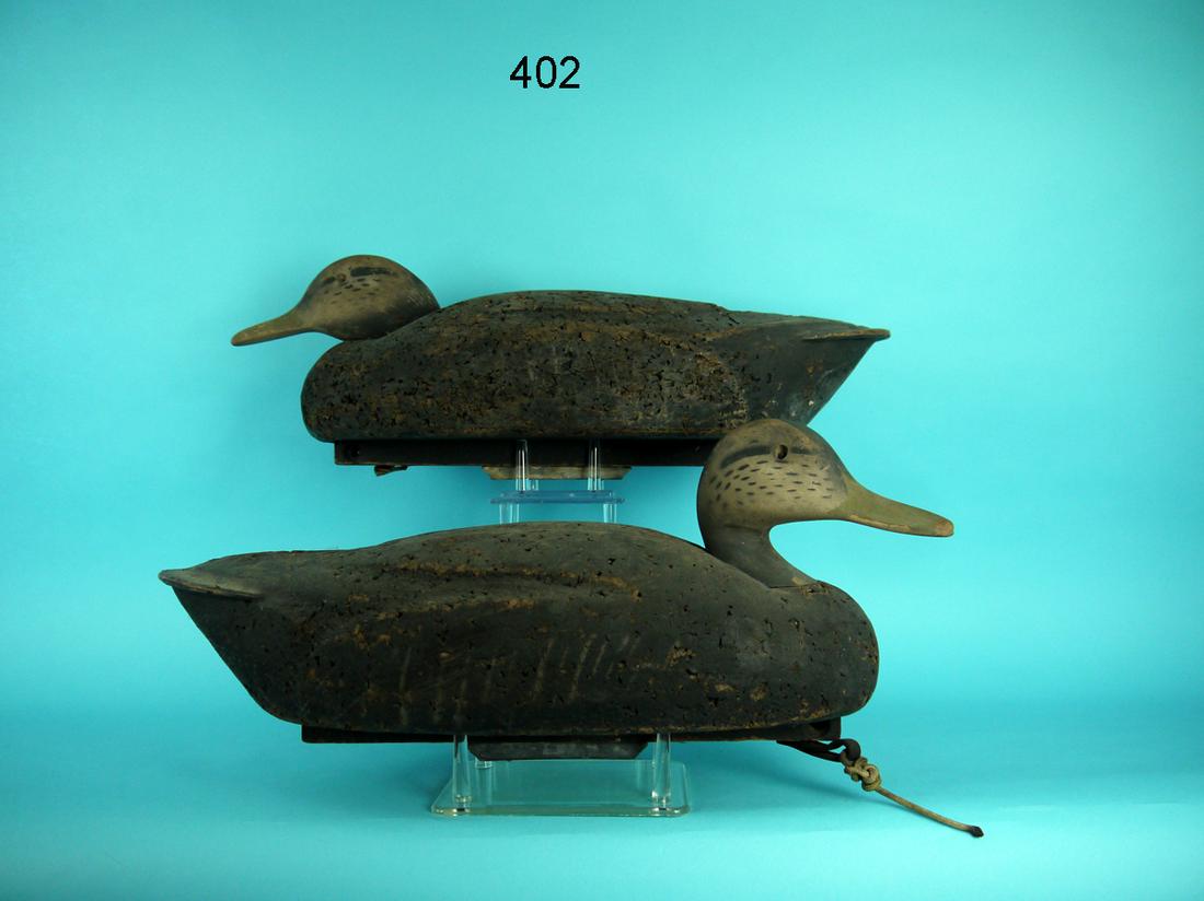 TWO BLACK DUCKS, CORK (1 of 1)