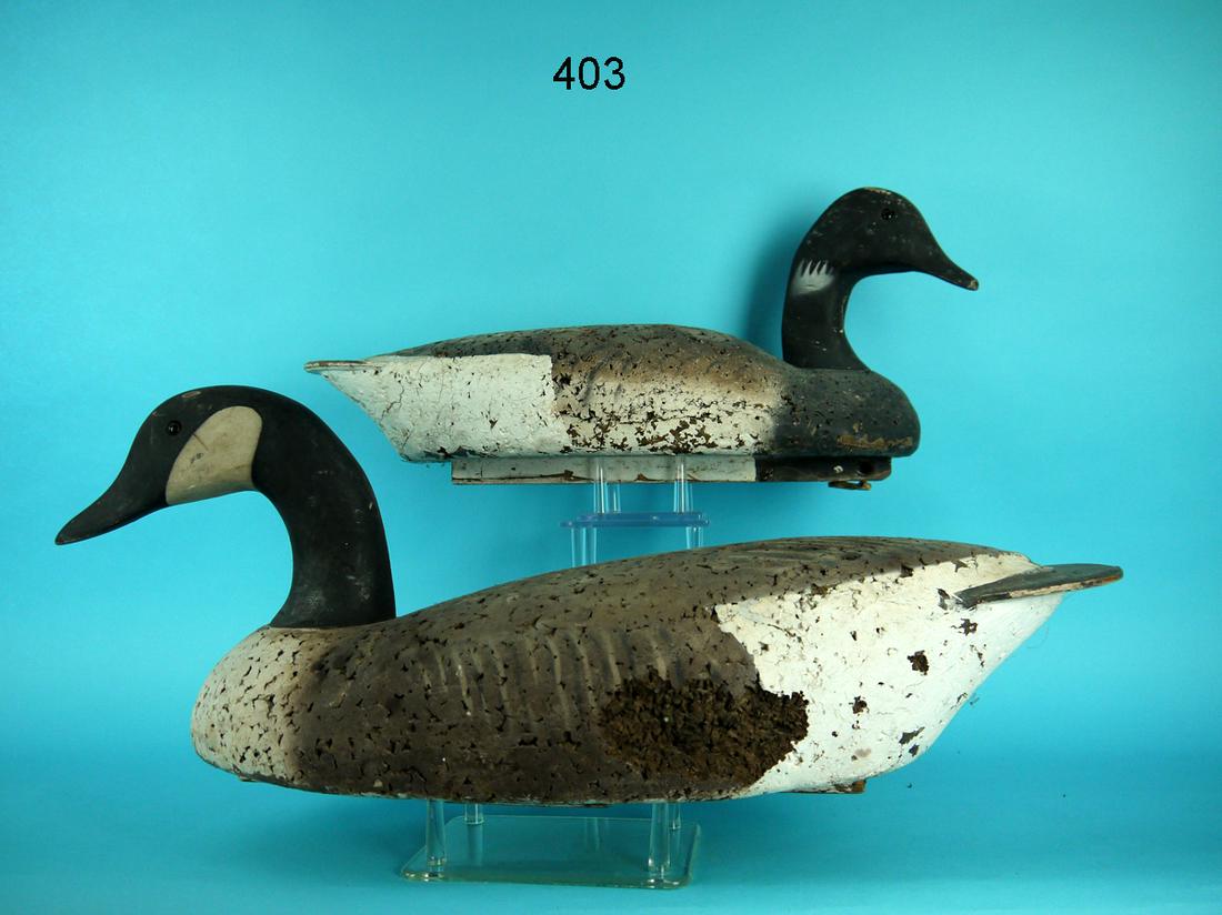 CANADA GOOSE, BRANT, CORK (1 of 1)