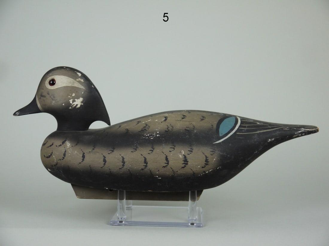 WOOD DUCK HEN, WILDFOWLER (1 of 4)