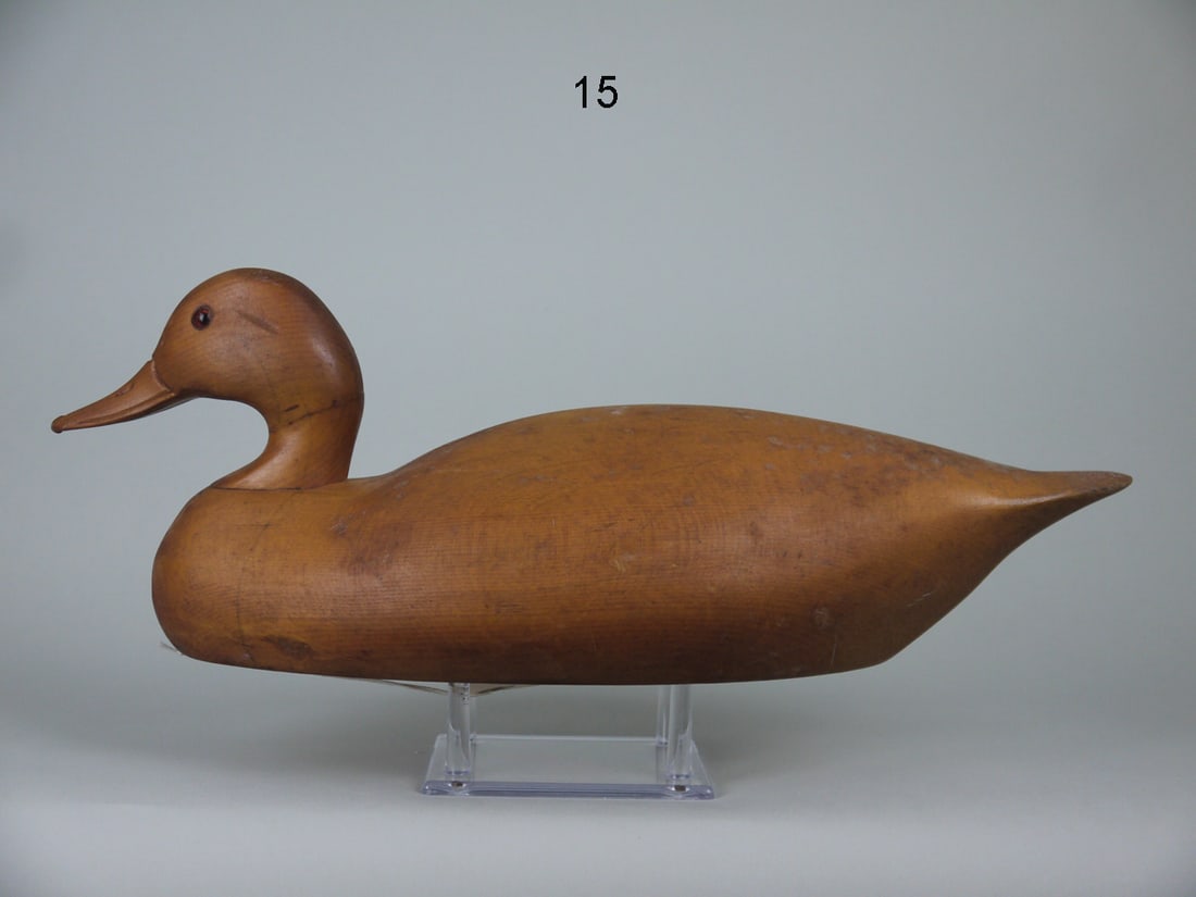 PINTAIL DRAKE, WILDFOWLER, OLD SAYBROOK (1 of 4)