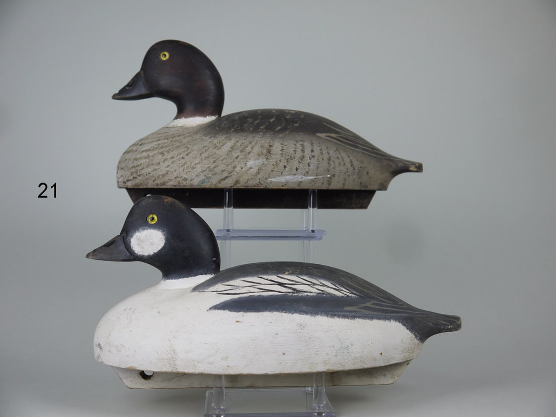 GOLDENEYE PAIR, WILDFOWLER, OLD SAYBROOK (1 of 4)