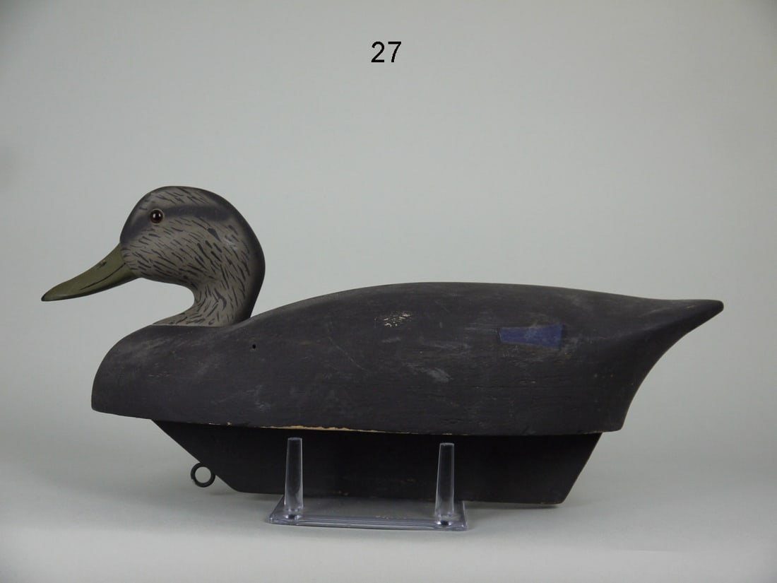 BLACK DUCK, WILDFOWLER, QUOGUE (1 of 4)