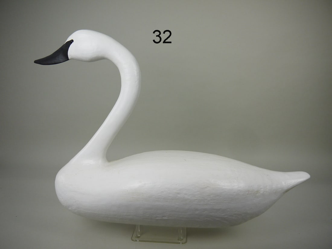 CONFIDENCE SWAN, WILDFOWLER BABYLON, NY (1 of 4)