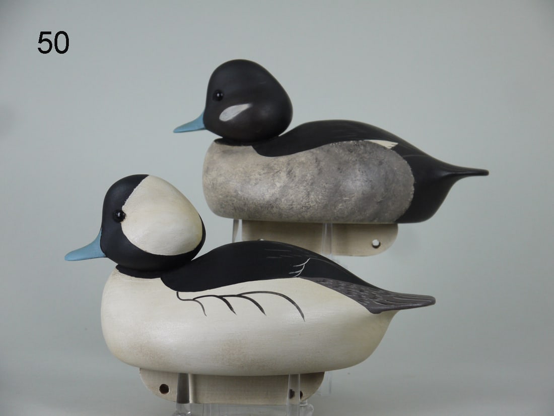 BUFFLEHEAD PAIR, C. ALLSOPP (1 of 4)