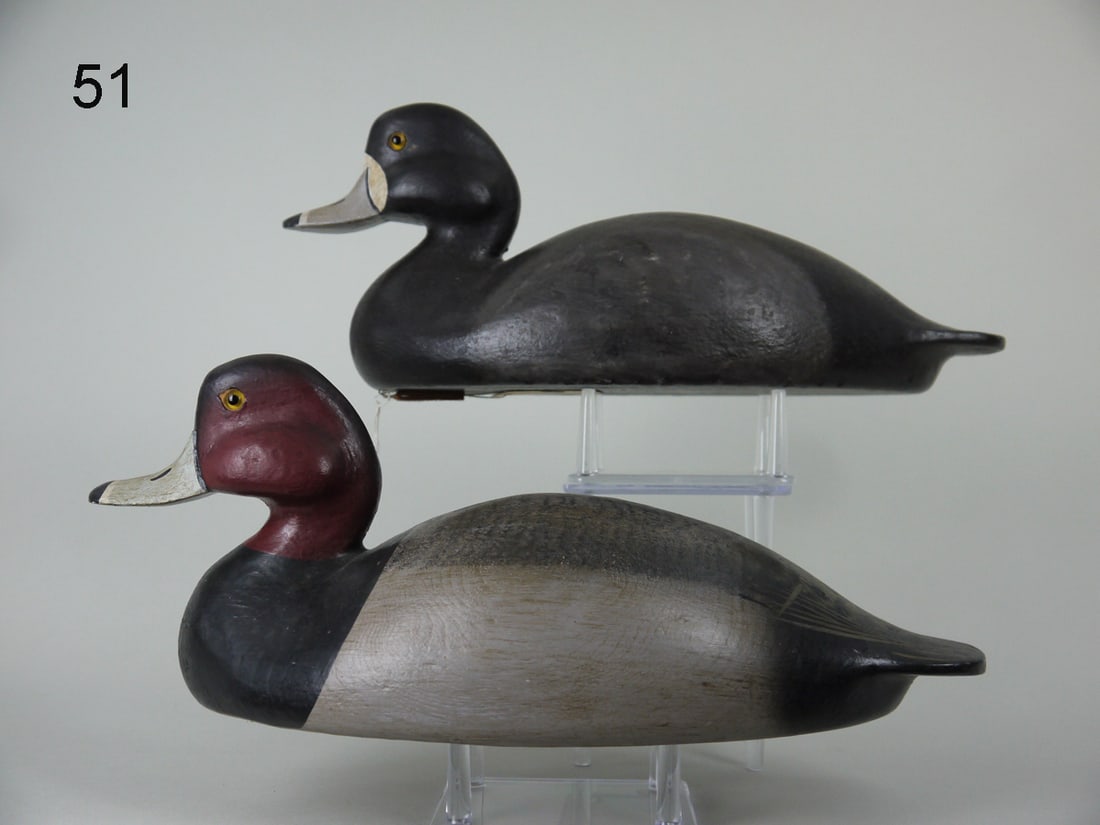 REDHEAD PAIR, C. ALLSOPP (1 of 4)