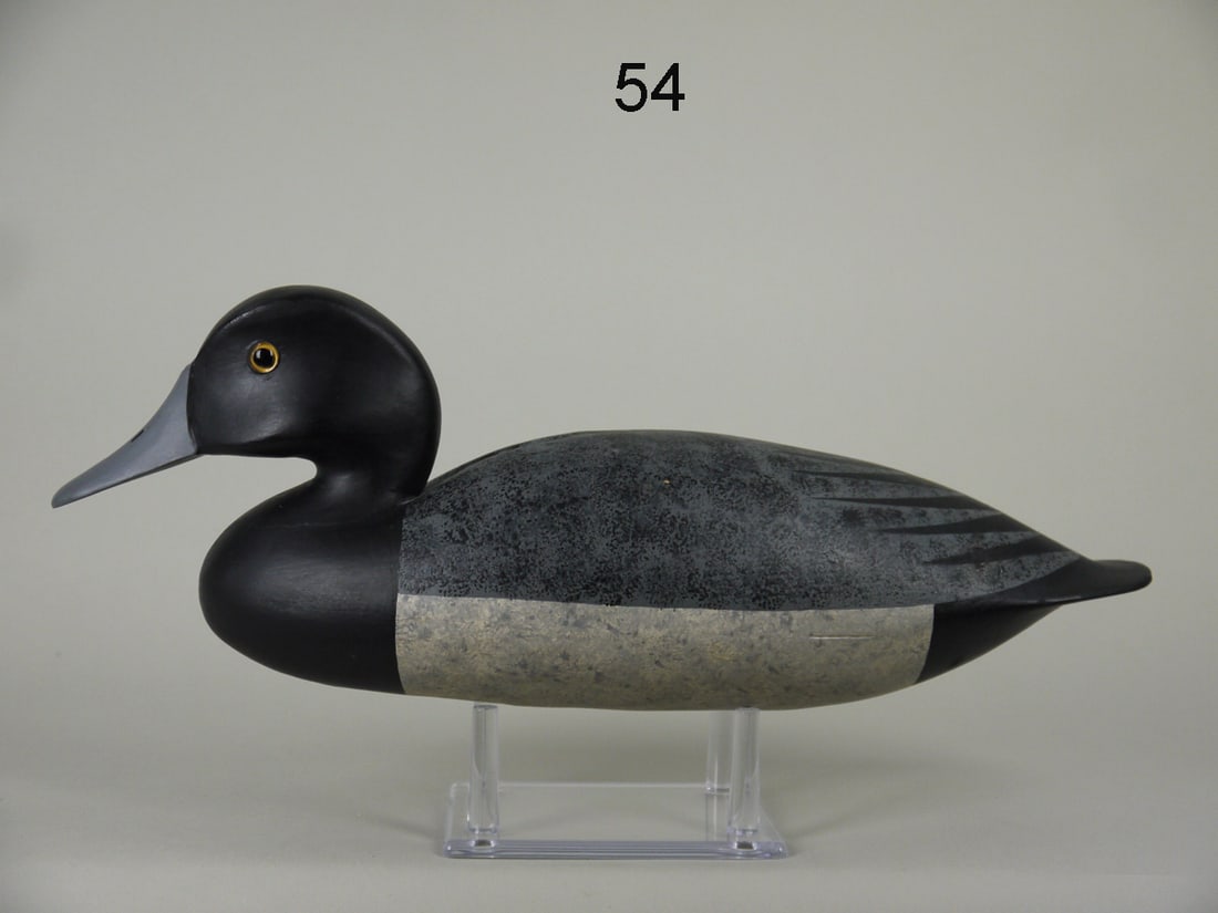 BROADBILL DRAKE, R. DALEY (1 of 4)