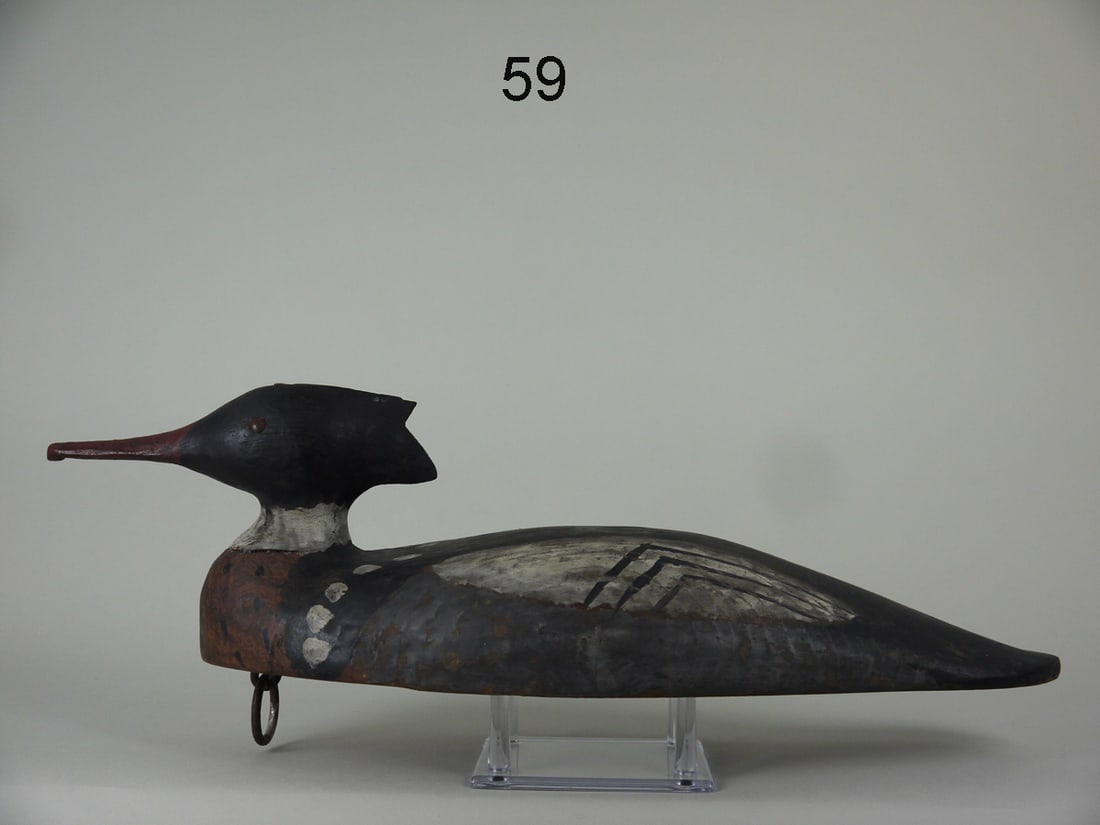 RED-BREASTED MERGANSER DRAKE, B. BIDDLE (1 of 4)