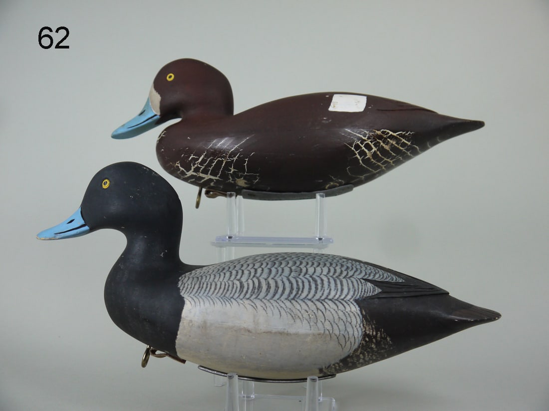 BROADBILL PAIR, B. WINTERBOTTOM (1 of 4)