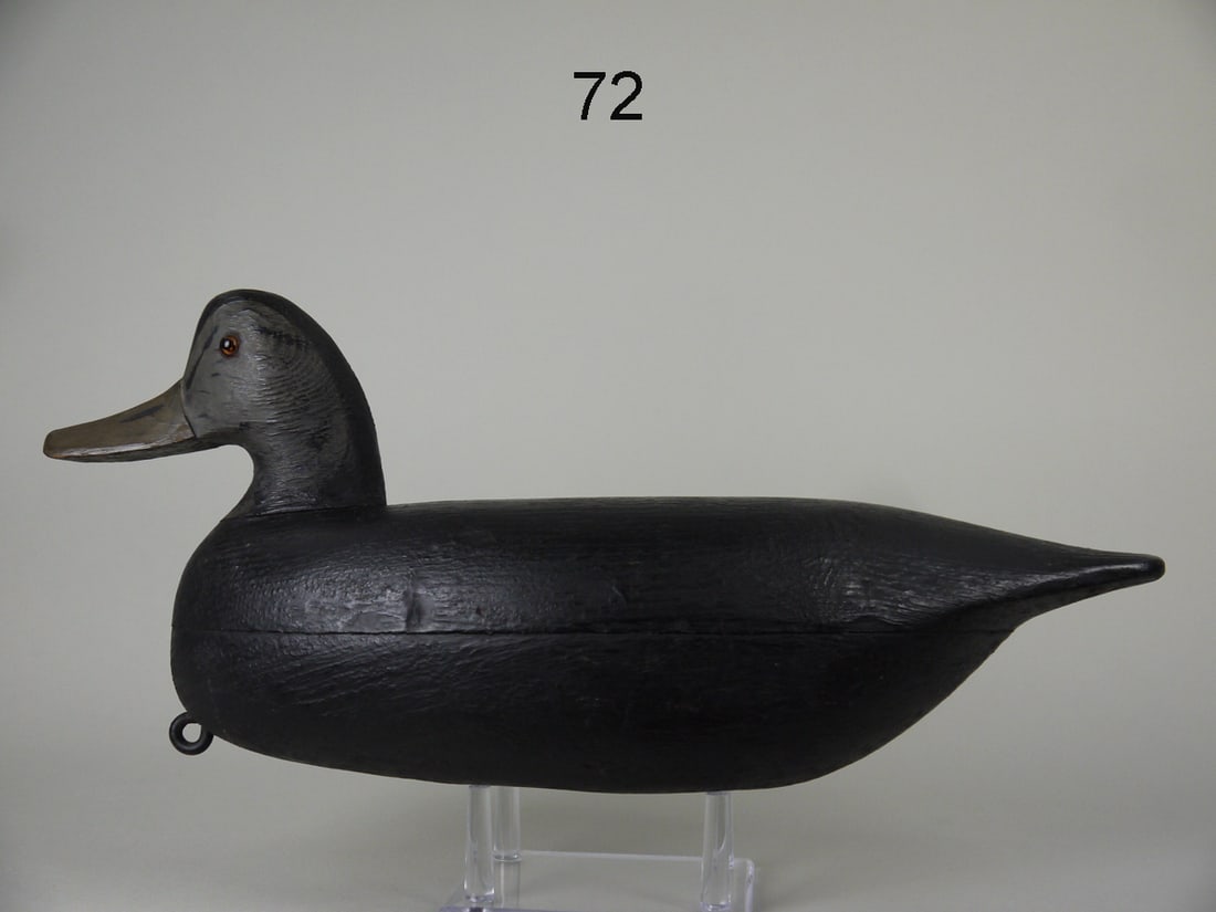 BLACK DUCK, R. CORLISS (1 of 4)