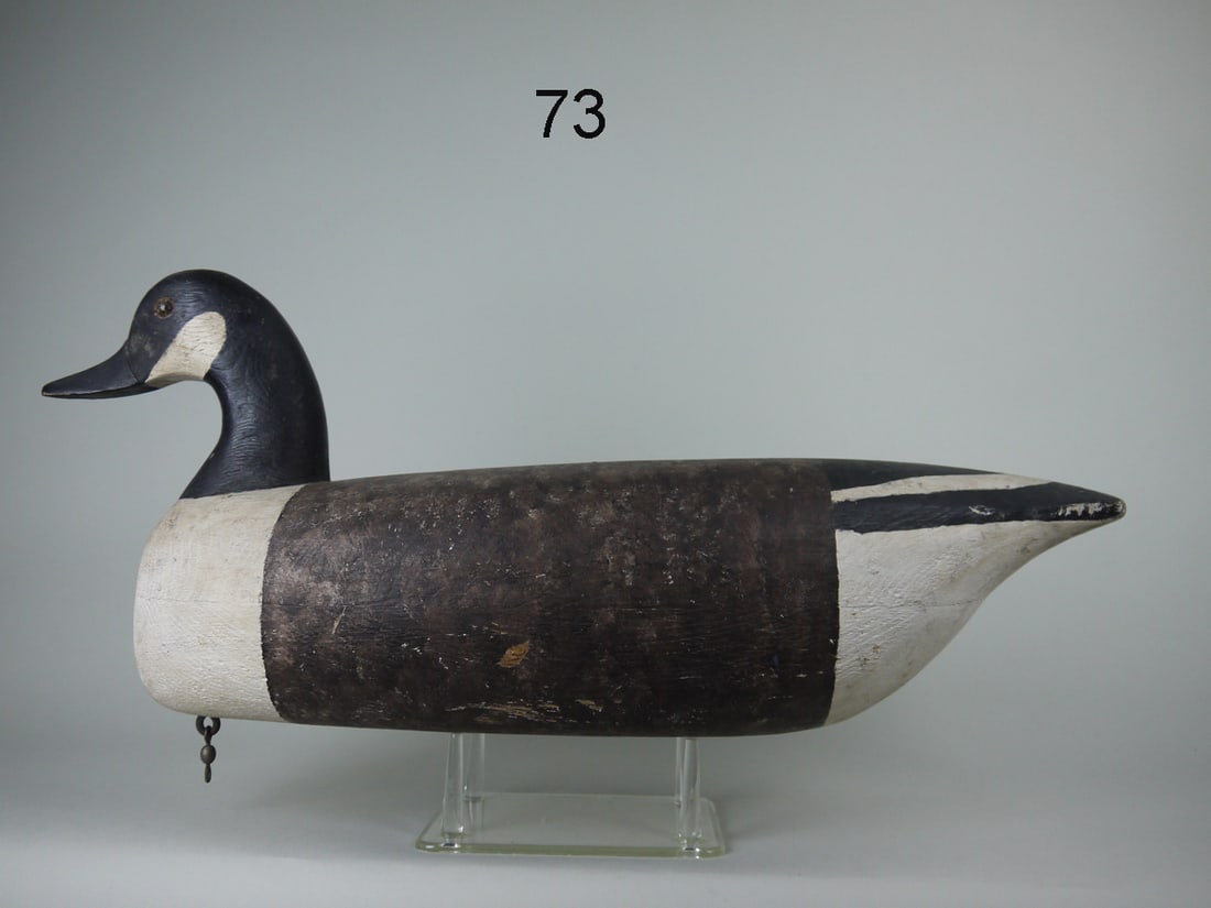 CANADA GOOSE, R. CORLISS (1 of 4)