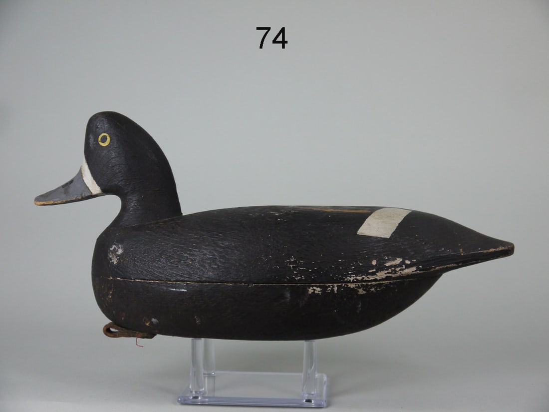 BROADBILL HEN, R. CORLISS (1 of 4)