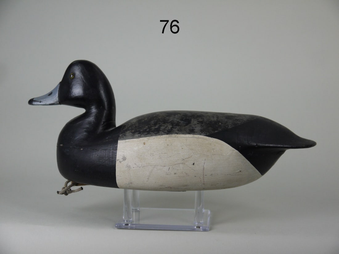 BROADBILL DRAKE, NEW JERSEY (1 of 4)