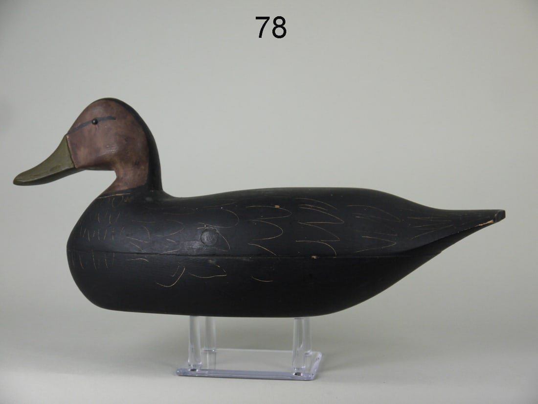 BLACK DUCK, J.E. HENDRICKSON (1 of 4)